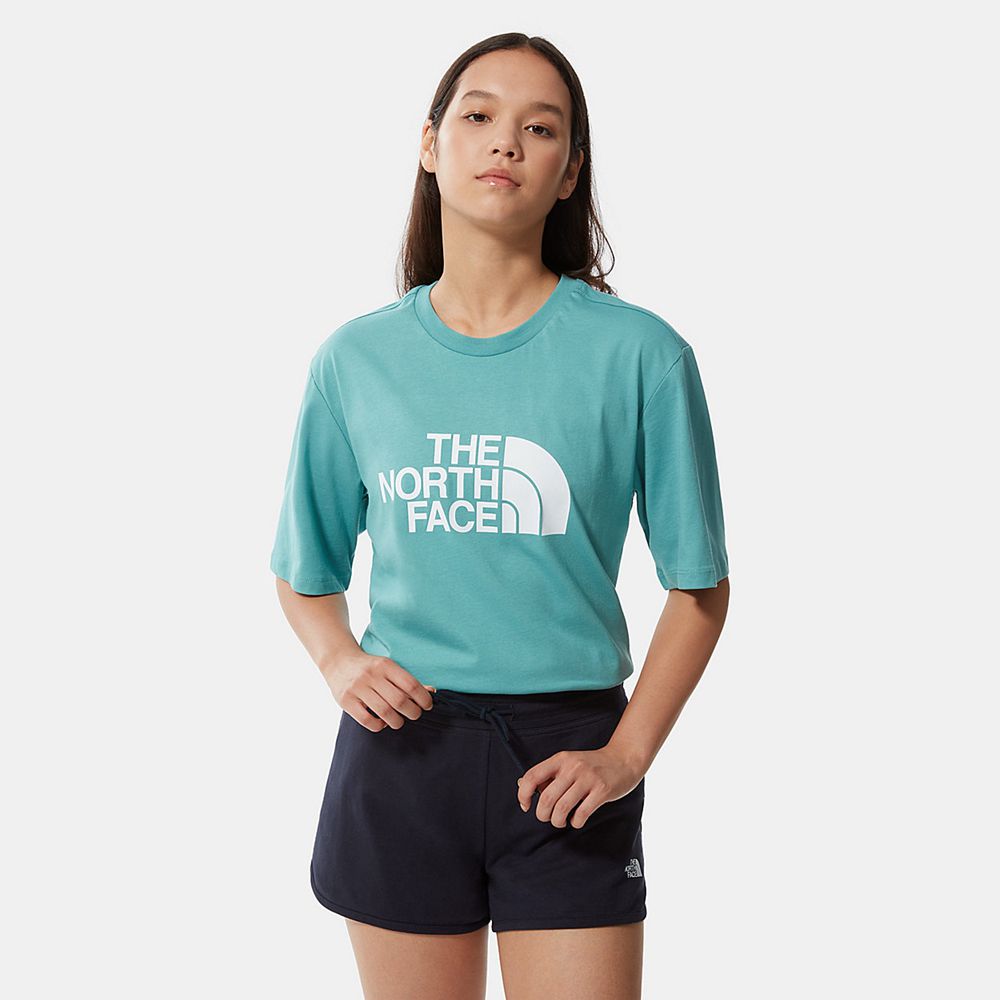 The North Face T-Shirts Womens Australia - The North Face Relaxed Summer Blue (DNS-850174)